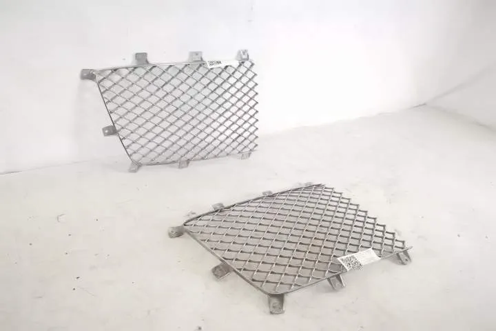 Grila Centrala Radiator Dreapta originala In Stare Buna Bentley  Benta - Foto 2
