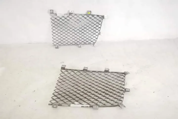 Grila Centrala Radiator Dreapta originala In Stare Buna Bentley  Benta - Foto 4