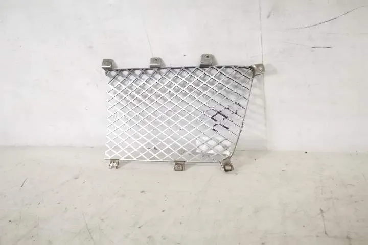 Grila Radiator Centrala Dreapta Originala In Stare Buna Bentley Bentay - Foto 6