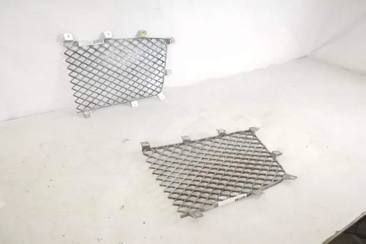 Grila Centrala Radiator Dreapta originala In Stare Buna Bentley  Benta - Foto 5
