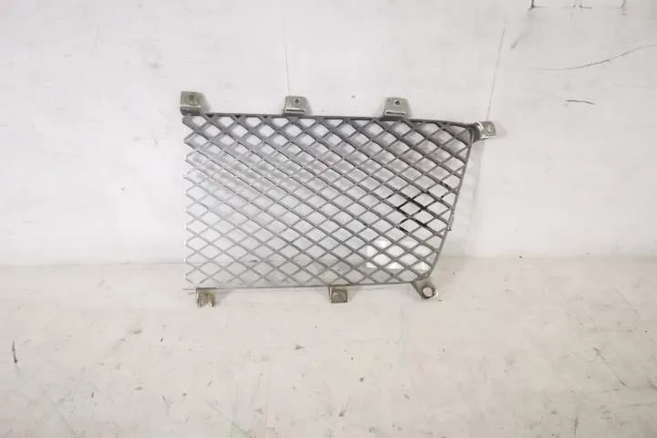 Grila Radiator Centrala Dreapta Originala In Stare Buna Bentley Bentay - Foto 4