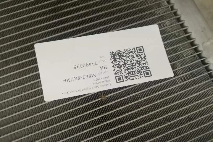 Radiator Apa Original In Stare Buna Jaguar  I-Pace  1 [2018 - 2020] - Foto 7