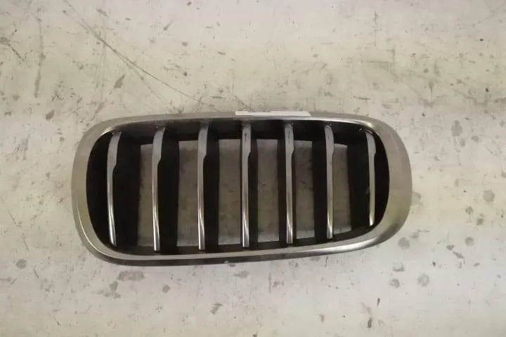 Grila Nara Stanga Originala In Stare Buna BMW  X6  F16 [2014 - 2020]