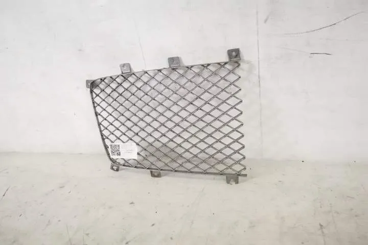 Grila Radiator Centrala Dreapta Originala In Stare Buna Bentley Bentay - Foto 3
