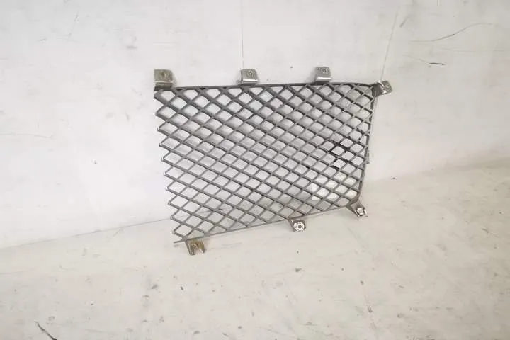 Grila Radiator Centrala Dreapta Originala In Stare Buna Bentley Bentay - Foto 5